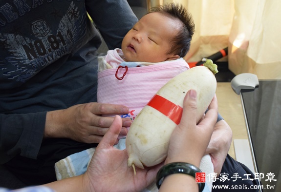 陳寶寶(台中西屯區到府嬰兒寶寶滿月剃頭理髮、免費到府嬰兒剃胎毛儀式吉祥話)。到府剃頭剃胎毛主持、專業拍照、DVD光碟、證書。★購買「臍帶章、肚臍章、胎毛筆刷印章」贈送：剃頭、收涎、抓周，三選一。2015.11.26 照片11